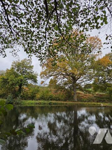 10 min. VILLAINES-LA-JUHEL (53), au calme, un terrain de loisirs sur lequel un plan d'eau d'une...