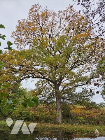 10 min. VILLAINES-LA-JUHEL (53), au calme, un terrain de loisirs sur lequel un plan d'eau d'une...
