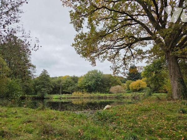 10 min. VILLAINES-LA-JUHEL (53), au calme, un terrain de loisirs sur lequel un plan d'eau d'une...