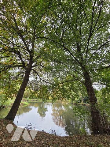 10 min. VILLAINES-LA-JUHEL (53), au calme, un terrain de loisirs sur lequel un plan d'eau d'une...