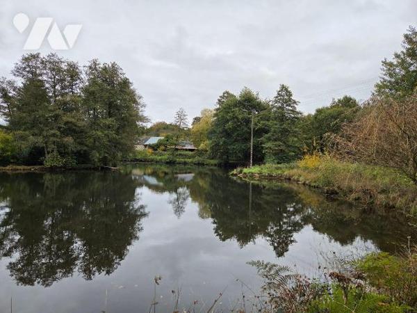 10 min. VILLAINES-LA-JUHEL (53), au calme, un terrain de loisirs sur lequel un plan d'eau d'une...