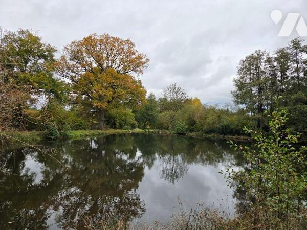10 min. VILLAINES-LA-JUHEL (53), au calme, un terrain de loisirs sur lequel un plan d'eau d'une...
