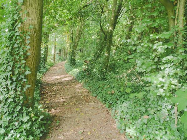 À Vendre – Domaine Touristique & Résidentiel avec Gîtes Insolites en Normandie