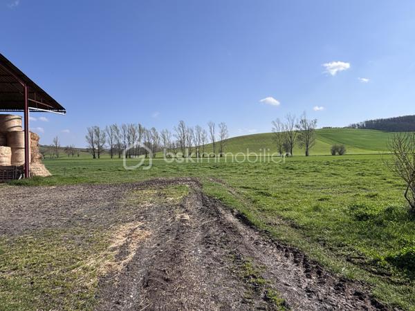 Au cœur de la campagne rabastinoise, dans un environnement paisible et verdoyant, venez découvrir cet authentique corps de ferme datant de 1900, rénové dans les années 1960, offrant un cadre de vie idéal pour les amoureux de nature et d’espace.

La maison principale développe environ 150 m² habitables. Elle s’ouvre sur un hall d’entrée desservant un séjour avec cuisine.
La partie nuit se compose de 4 chambres, dont 1 en rez-de-chaussée, permettant une vie de plain-pied si souhaité, ainsi qu’une salle de bain. Des combles d’environ 20 m² offrent un potentiel d’aménagement supplémentaire.

Implantée sur un peu plus de 5 hectares de terrain, la propriété séduira ceux qui rêvent d’espace, de tranquillité et de projets à la campagne : activités agricoles, projet équestre, potager, ou simplement profiter d’un environnement naturel privilégié.

De nombreuses dépendances complètent l’ensemble, dont un grand hangar agricole d’environ 220 m² et une grange de 61 m², offrant de multiples possibilités : stockage, atelier, aménagement ou activité professionnelle.

Des travaux de rafraîchissement et de mise aux normes sont à prévoir (menuiseries simple vitrage, chauffage au fioul, électricité à revoir, assainissement non conforme), laissant libre cours à vos projets pour redonner tout son charme à cette propriété de caractère.