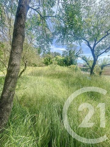 Terrain à vendre  981 m2 PRADES LE LEZ - 34