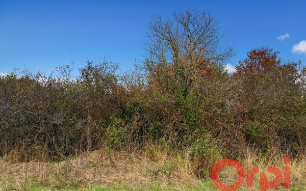 Terrain à vendre    Bessais-le-Fromental