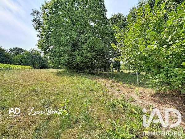 Maison à vendre 3 pièces 125 m² Trans-la-Forêt