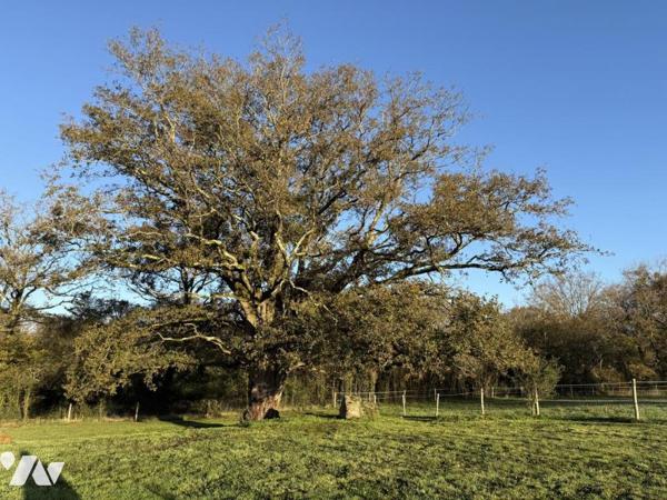 A 1.5 KMS DU CENTRE DE THEIX