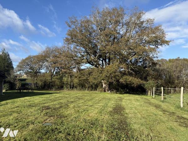 A 1.5 KMS DU CENTRE DE THEIX