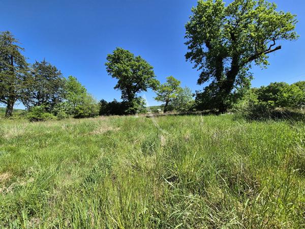 Maison de charme style landais