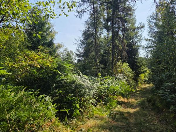 Terrain 16790 m2