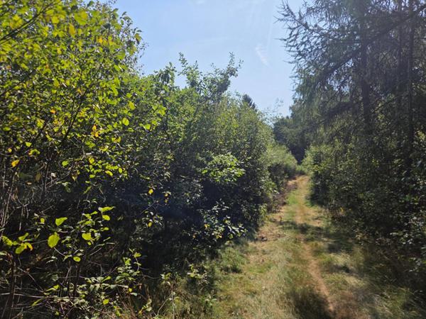 Terrain 16790 m2