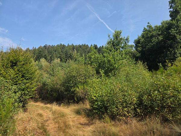 Terrain 16790 m2