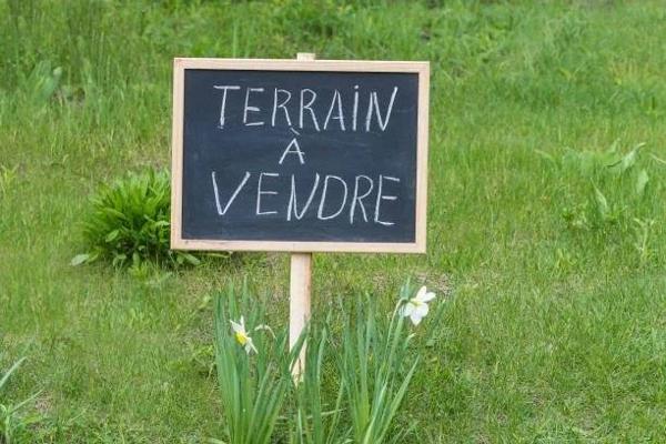 terrain à lotir