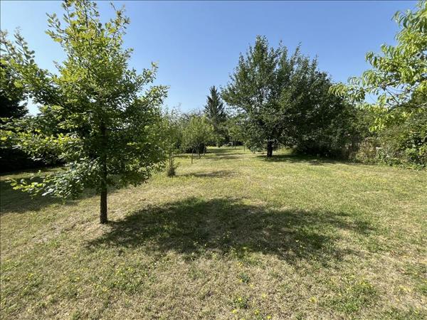 Maison à vendre |  Saint-Séverin |  6 pièces | 161 m²