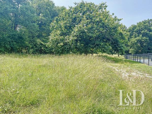 MEDIS CENTRE : terrain constructible 2050 m² viabilisé