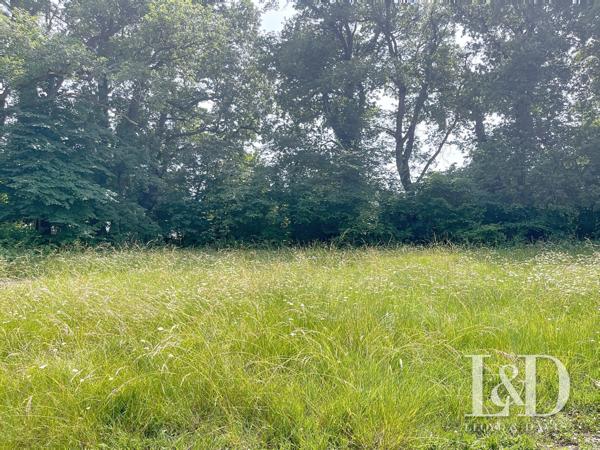 MEDIS CENTRE : terrain constructible 2050 m² viabilisé