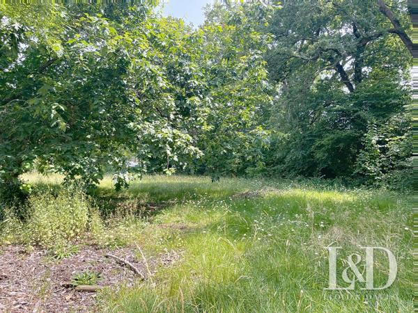 MEDIS CENTRE : terrain constructible 2050 m² viabilisé