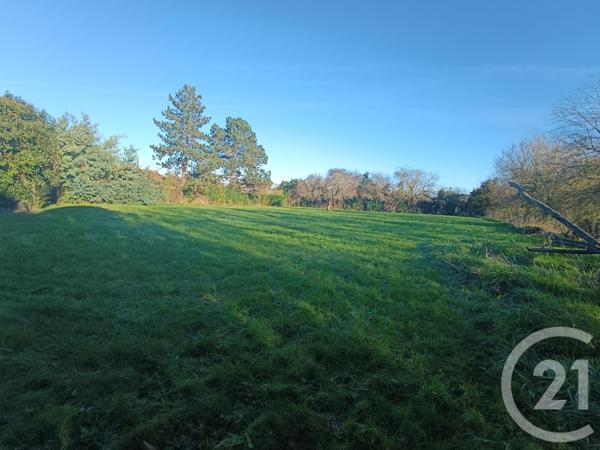 Maison à vendre  14 pièces - 414,76 m2 PUJOLS - 47