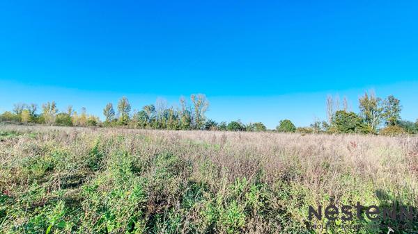 A Vendre Terrain Plat de 4400 m² vue imprenable sur les Pyrénées Environnement Campagne Secteur Cazeres
