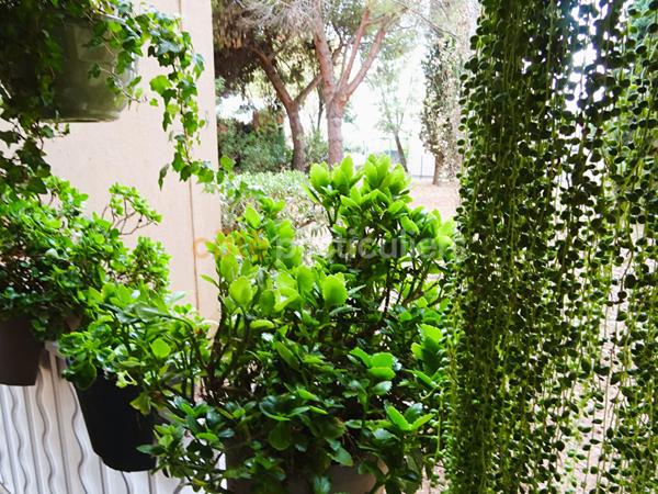 Vente Appartement83 m² - 3 Pièces - LATTES (34970)