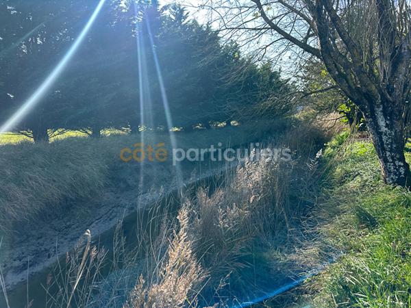 Vente Maison43 m² - 3 Pièces - GOUVILLE SUR MER (50560)