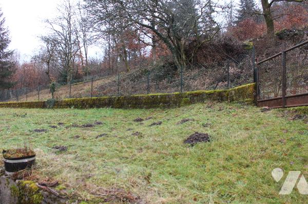 Maison ind. sur sous-sol avec dépendances sur 5210m² de terrain (dont environ 12a  constructibles)