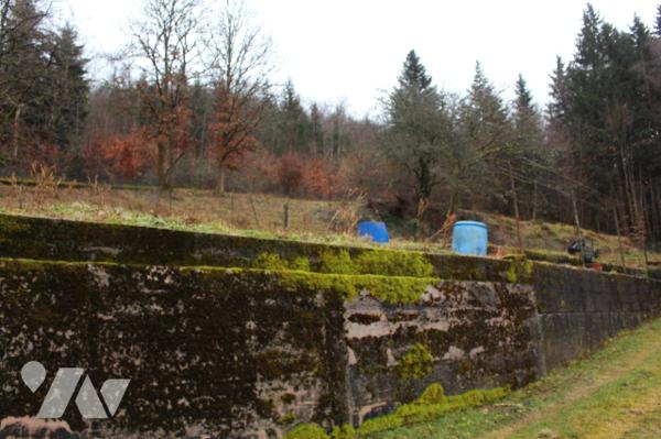 Maison ind. sur sous-sol avec dépendances sur 5210m² de terrain (dont environ 12a  constructibles)