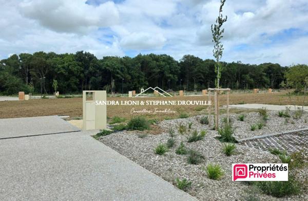 CHAMPHOL TERRAIN VIABILISE A BATIR DE 530 m²