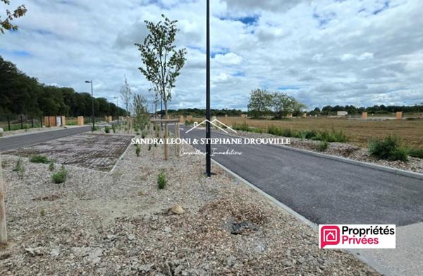 CHAMPHOL TERRAIN VIABILISE A BATIR DE 530 m²
