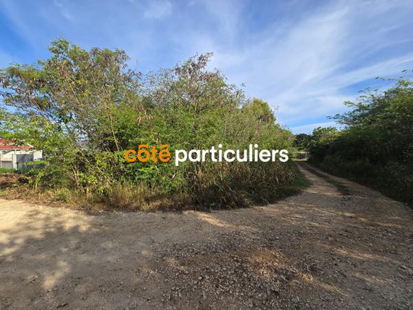 Vente Terrain1139 m² - ANSE BERTRAND (97121)