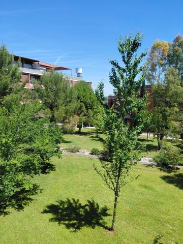 AU COEUR D UN PARC VERDOYANT JOLI 2 P + C + PARKING PRIVE 210 000 €