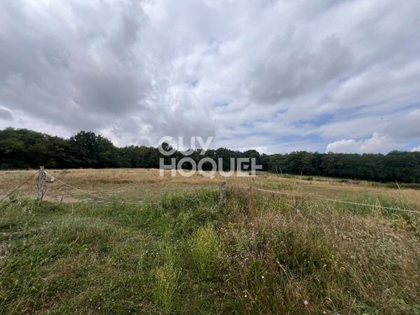 Maison à vendre à Savigny Poil Fol - Une opportunité à ne pas manquer !