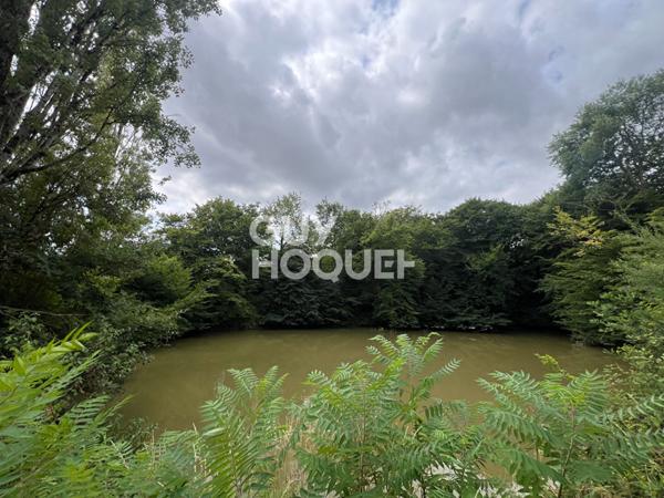 Maison à vendre à Savigny Poil Fol - Une opportunité à ne pas manquer !