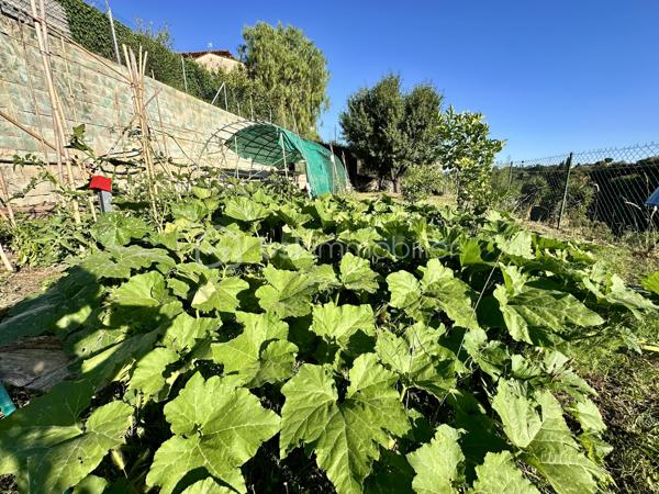 À Cagnes-sur-Mer, à quelques minutes seulement du Haut-de-Cagnes, découvrez cette propriété construite dans les règles de l'art, offrant un cadre de vie privilégié entre nature, calme et praticité.

Implantée en bordure d'une zone forestière protégée, elle bénéficie d'un environnement verdoyant, d'un calme absolu et d'une agréable vue dégagée sur la nature environnante.

Construite par son propriétaire avec le savoir-faire d'une véritable maison de maçon, cette villa se distingue par la qualité de sa construction et de ses matériaux. Murs en pierre, excellente isolation, double vitrage, cheminée, climatisation réversible et panneaux photovoltaïques témoignent d'une conception pensée pour durer, alliant confort, solidité et performance énergétique.

L'accès à la propriété s'effectue par une élégante entrée pavée en pierre de Dolomite bordée de magnifiques murs en pierre qui souligne immédiatement le caractère authentique et soigné des lieux.

Aujourd'hui organisée en trois appartements indépendants entièrement équipés, la maison offre une grande souplesse d'utilisation : grande famille, projet intergénérationnel, accueil de proches, activité locative ou combinaison habitation et activité professionnelle.

Pensée pour répondre aux besoins du quotidien, elle dispose également d'un bureau, d'une cave, d'un cellier-buanderie ainsi que de nombreux espaces de rangement et de stockage particulièrement appréciables.

À l'extérieur, la piscine à débordement, sa cuisine d'été, sa douche et ses sanitaires indépendants permettent de profiter pleinement des beaux jours dans un environnement paisible et préservé. Le terrain accueille également un beau potager pour les amateurs de jardinage et conserve un potentiel constructible résiduel, offrant de belles perspectives d'évolution selon vos projets.

Autres atouts de la propriété, deux ateliers indépendants entièrement équipés conviendront parfaitement aux artisans, entrepreneurs, travailleurs indépendants ou passionnés nécessitant des espaces de travail, de rangement ou de stockage adaptés à leurs activités. 
Deux grands garages carrelés avec accès direct à la maison ainsi que plusieurs aires de stationnement complètent également cet ensemble particulièrement fonctionnel et pratique au quotidien.

Idéalement située, la propriété permet de rejoindre rapidement le centre-ville de Cagnes-sur-Mer, La Colle-sur-Loup, Vence, les commerces, l'autoroute A8, l'aéroport Nice Côte d'Azur, les plages ainsi que les centres commerciaux Cap 3000 et Polygone Riviera. Ramassage scolaire à proximité pour l'école du Haut-de-Cagnes.

Rare sur le secteur, cette propriété s'adresse aussi bien aux familles souhaitant vivre au calme dans un environnement naturel qu'aux artisans, entrepreneurs ou professions indépendantes recherchant de grands espaces de stockage, des ateliers fonctionnels et un fort potentiel d'évolution.

Informations complémentaires et vidéos sur demande.