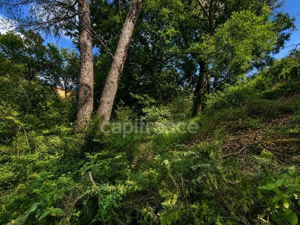 Terrain non constructible de 3060 m2 à vendre  LAURIS (84)