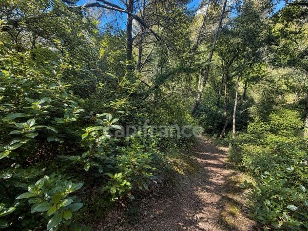 Terrain non constructible de 3060 m2 à vendre  LAURIS (84)