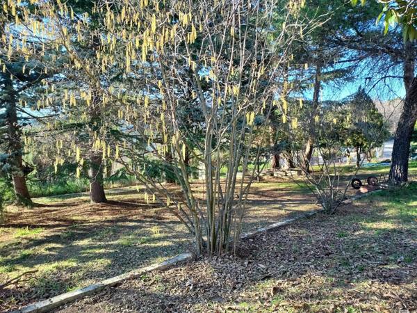 Terrain à vendre    Berre-les-Alpes