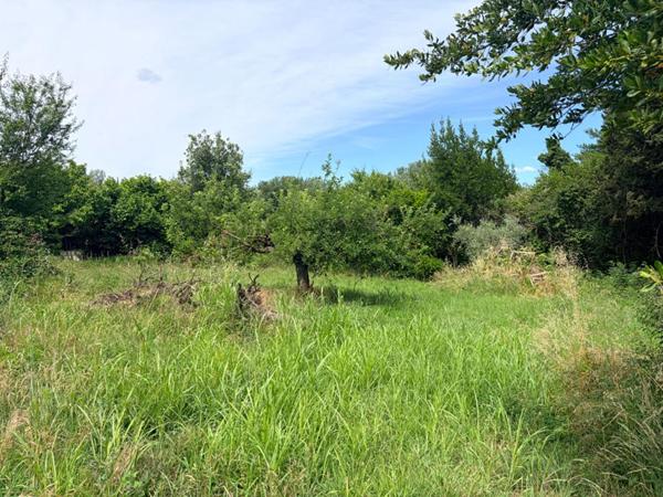 Terrain  agricole de 260 m2 Saint-Hilaire d'Ozilhan 12500