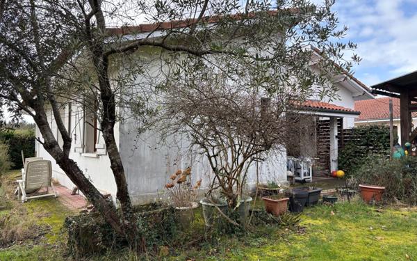 Maison à vendre    4 pièces •  Linxe