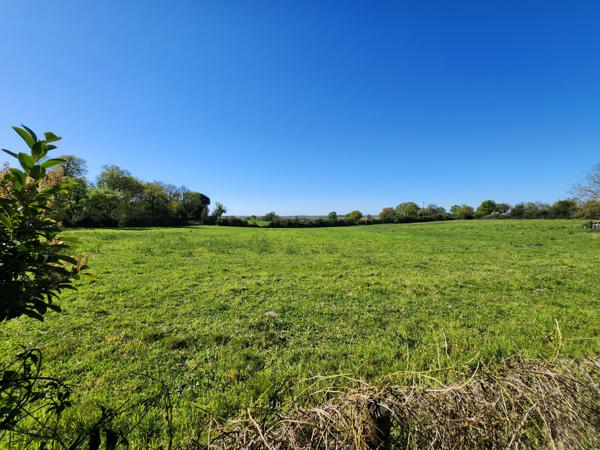 Mareuil-sur-Lay-Dissais (85320) Maison en pierre rénovée avec diverses dépendances et 4 chambres