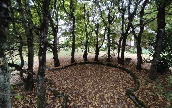 Maison à vendre    4 pièces •  Chaon