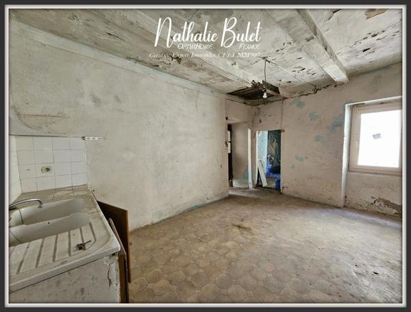 MAISON À RÉNOVER ENTIÈREMENT + SECONDE MAISON MITOYENNE À RÉHABILITER – 60 M² HABITABLES – GARAGE ET DÉPENDANCES – SAINT-PONS-DE-THOMIÈRES