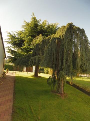 Bracieux maison de 123 m2 habitables. À découvrir sans tarder !