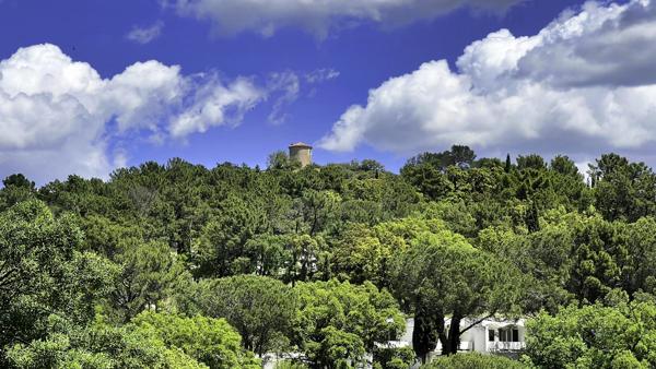 Terrain à vendre à La Garde-Freinet (83680) - Var