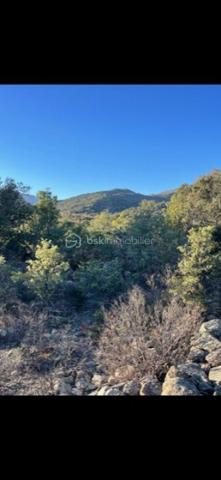 Terrain agricole de 6 500 m²