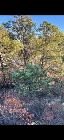 Terrain agricole de 6 500 m²