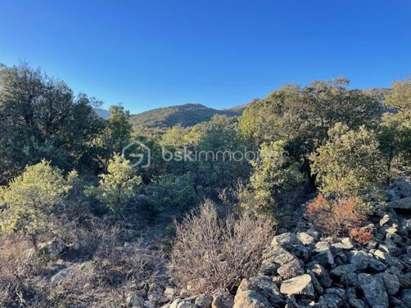 Terrain agricole de 6 500 m²