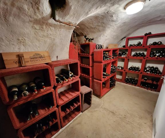 Puteaux (92800) MAISON DE MAITRE / HOTEL PARTICULIER - PUTEAUX / LES BERGERES 350 m² Garage et 2 parking