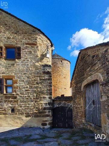 Maison à vendre 16 pièces 415 m² Bédouès-Cocurès